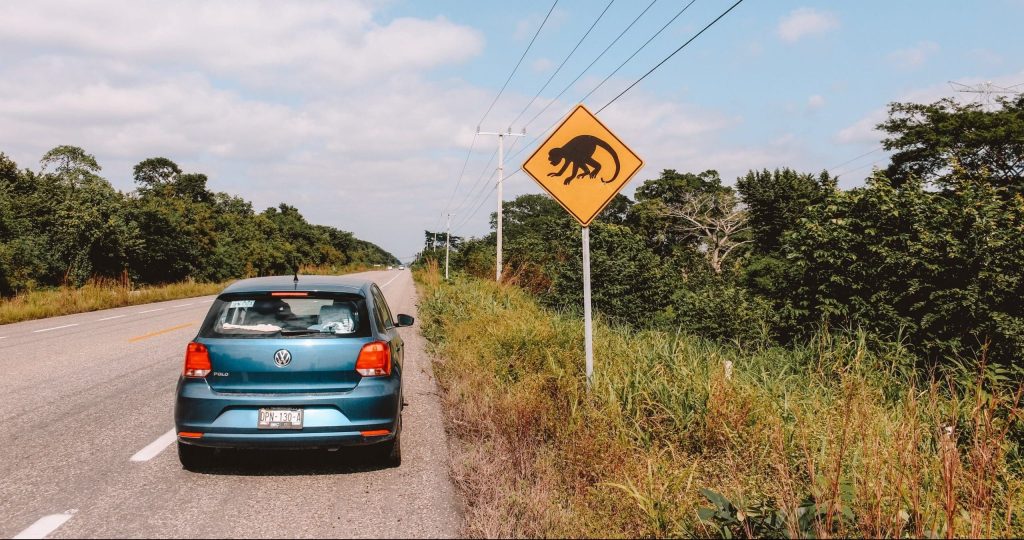 How to Get to Cenote Suytun: Discover the Easiest Way to Reach Yucatán’s Most Magical Cenote cenote suytun 3 Rental car on Mexican Highway 180 driving through Yucatan jungle towards